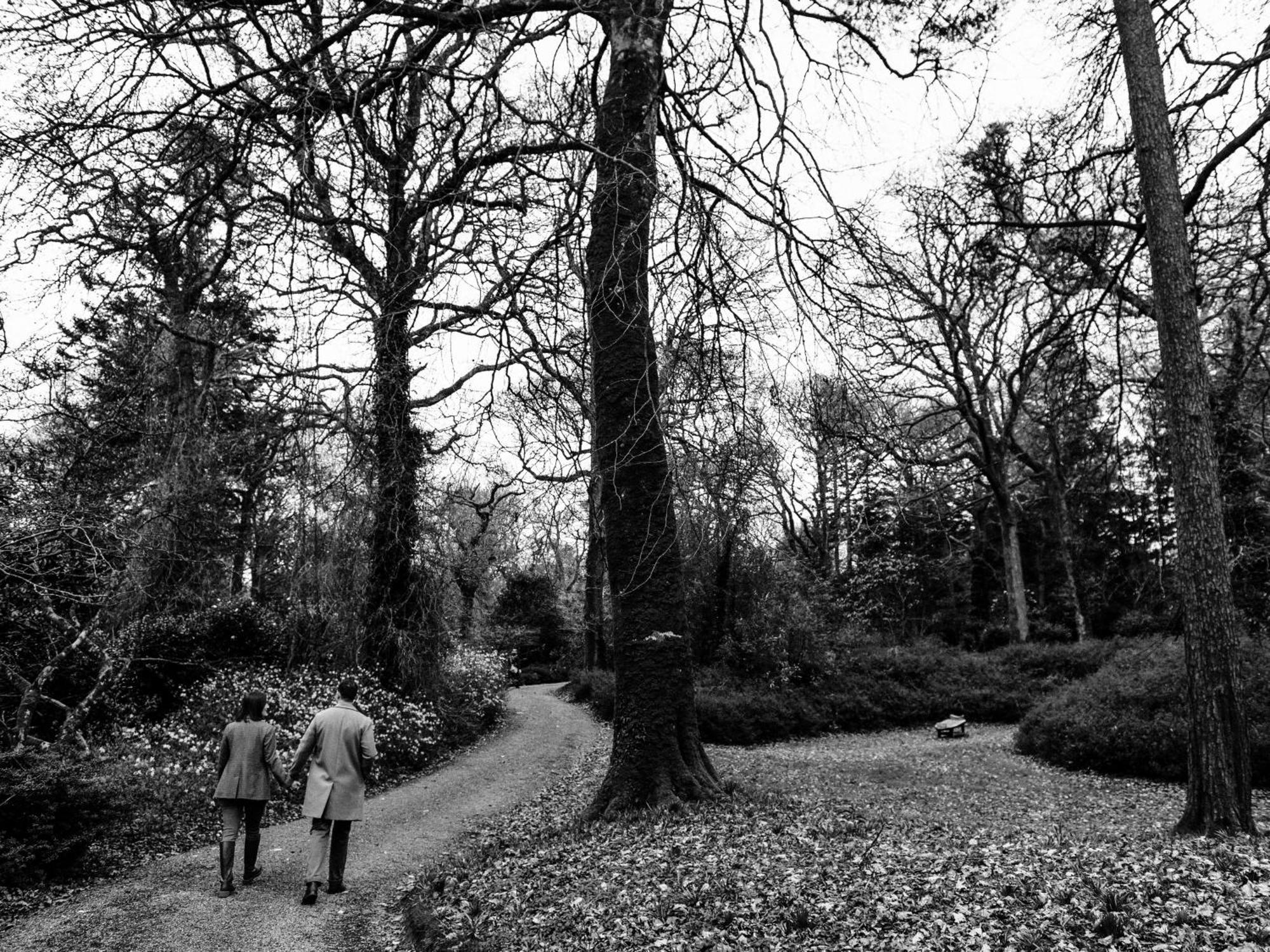 The Forest At Mount Congreve Gardens Kilmeaden Esterno foto