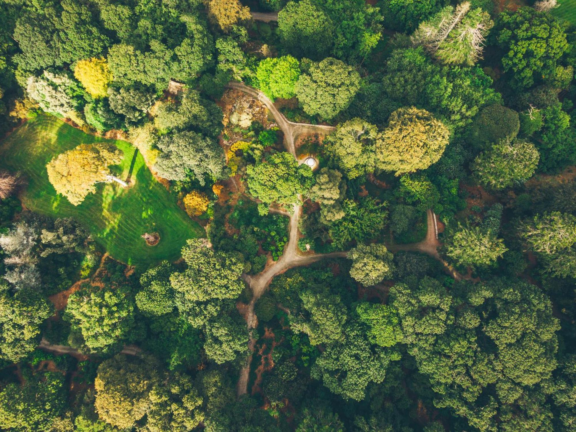 The Forest At Mount Congreve Gardens Kilmeaden Esterno foto