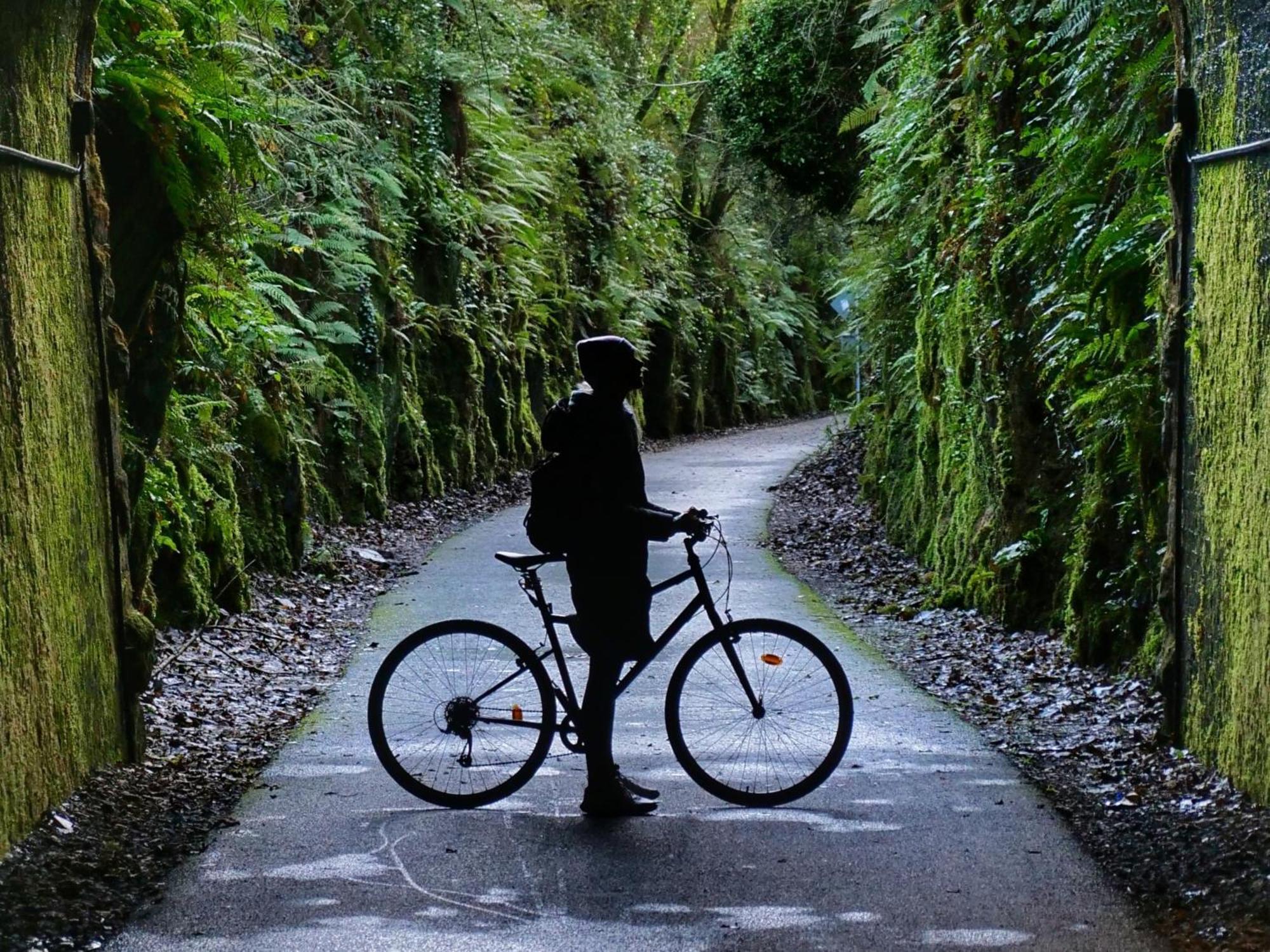 The Forest At Mount Congreve Gardens Kilmeaden Esterno foto